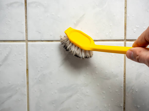 Best Mold Removal Near Me  in Kenilworth, NJ