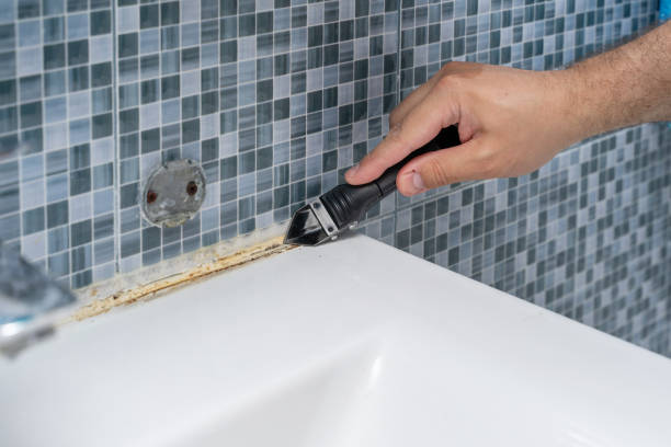 Best Mold Removal Company Near Me  in Kenilworth, NJ