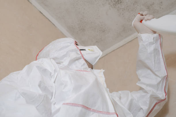 Mold Testing and Removal in Kenilworth, NJ