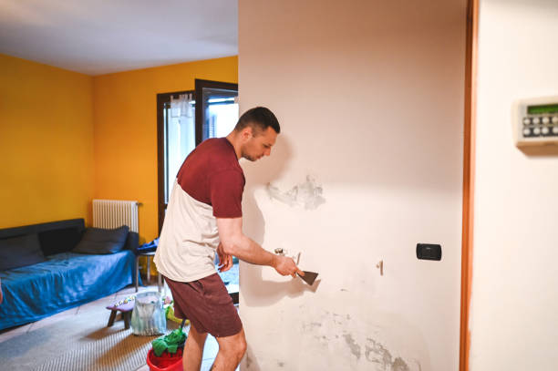 Best Toxic Mold Removal  in Kenilworth, NJ